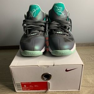 Lebron 9 low